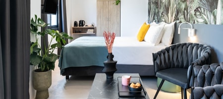 Deluxe Double Room W / Balcony