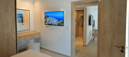 Luxury One Bedroom Apartment