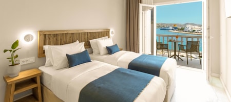 Superior Twin room