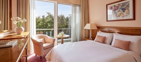 Single Room Mountain view