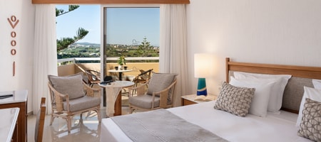 Standard Room with Mountain View