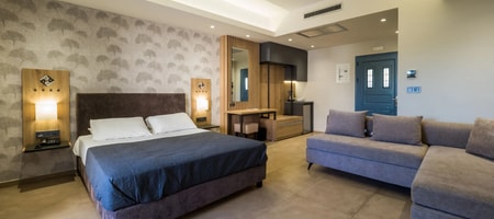 Deluxe Plus Room Garden View
