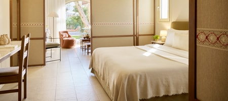 Aura Suite (Annex Building)