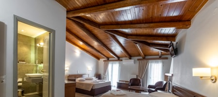 Premium Roof Top Suite with Spa Bath Suite