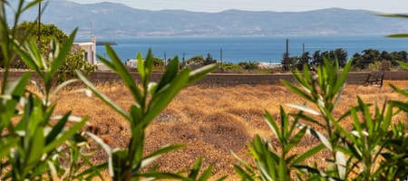 Cycladic Breeze Studio with Sea View & Plunge Pool