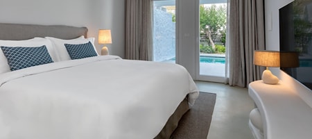 Pool Suite- 1 Bedroom Suite- 1 King- Non-Private Sofa bed- Resort view- Private pool