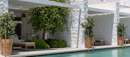 Junior Suite Sharing Pool- Suite- 1 King- Poolside view