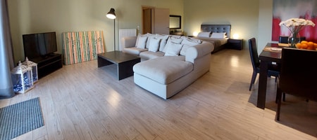 Deluxe Two-Bedroom Apartment