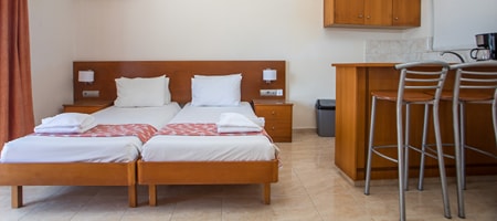 Double Standard Room