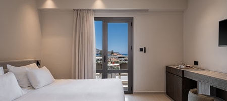 Superior Double room with pool or garden view