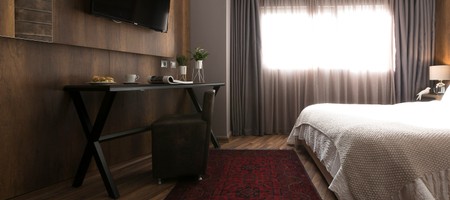 Standard Double Room for Single Use