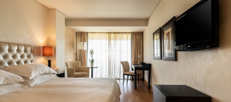 Comfort Double City View Room