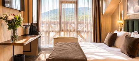 Deluxe Room (Pet Friendly Room)