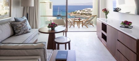 Premium Family One Bedroom Suite