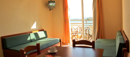One-Bedroom Apartment (4 adults)