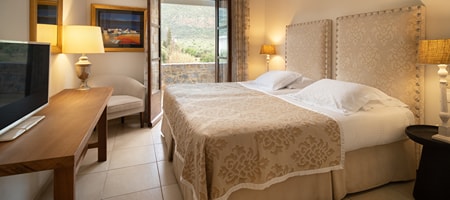 Classic Double Room Mountain View