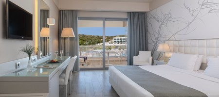 Deluxe Room Pool View