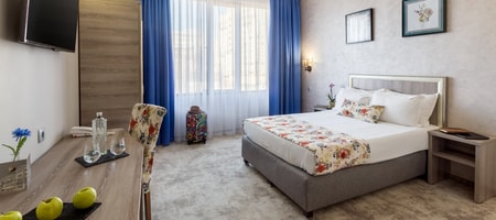 Deluxe Double/Twin Room