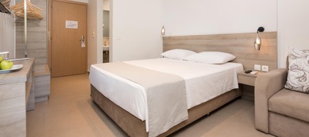 Double/Twin Room with Mountain View