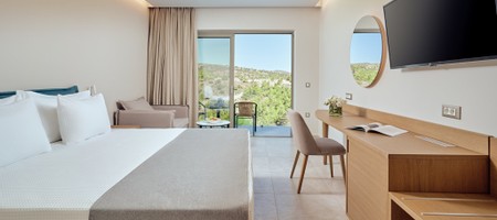 Double Room Mountain View