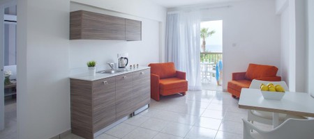 One Bedroom Apartment
