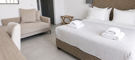 Junior Suite | Ground Floor