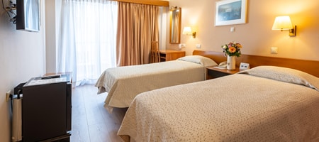 Standard Twin Room