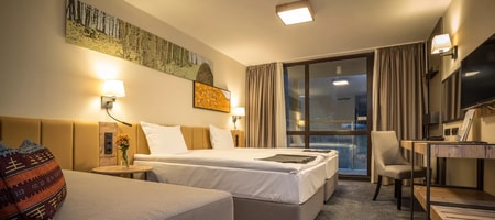 ❄ Premium Twin Room Slope View