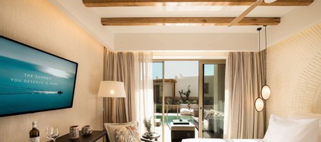 Junior Suite Swim Up Sharing Pool