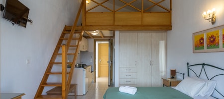 Apartment with Loft