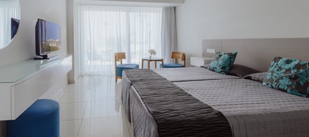 Standard Double or Twin Room with Balcony