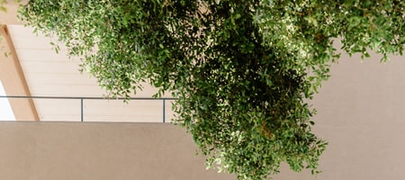 Glysinia Villa