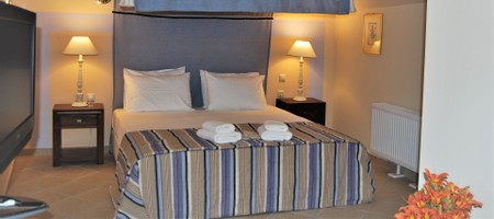 Superior Loft | Anemone