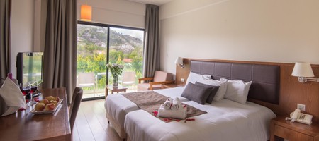 Standard Twin / Double Room