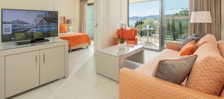 Executive Suite One Bedroom