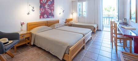 Triple Room (3 Single Beds)