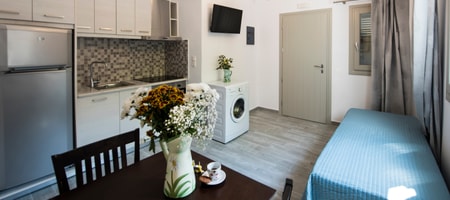 Deluxe Apartment- Rose Suites 3