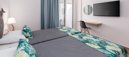 Deluxe Double or Twin Room with Garden View