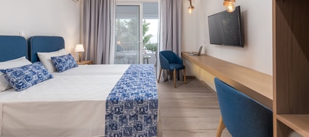 Deluxe Double or Twin Room with Sea View