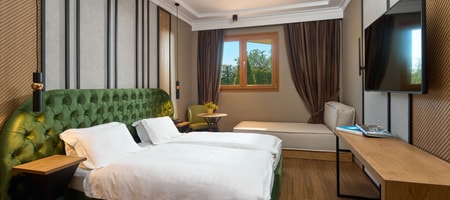 Standard Room Semi Ground Floor No Balcony