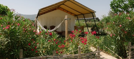 Glamping Tent