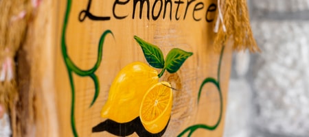 Lemon Tree Villa