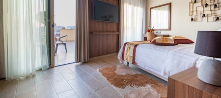 Deluxe Room City View with Business  Lounge Access