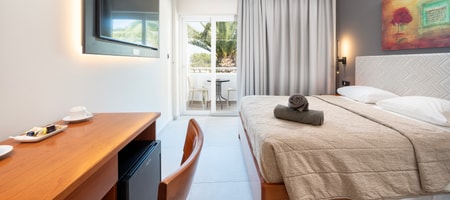 Superior Facelifted Double Room