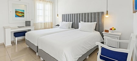 Classic Garden View Room 