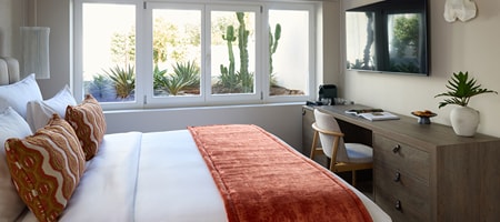 Cozy Room