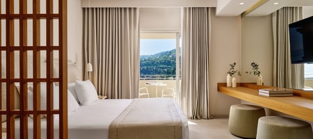 Lavish Double Sea View  Room