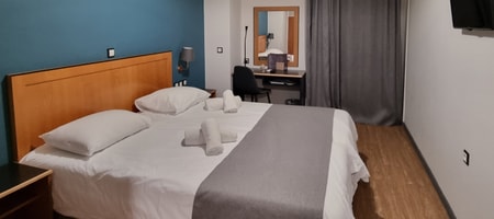 Superior Double or Twin Room