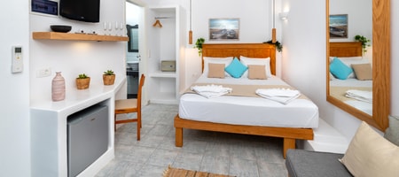 Economy Double Room