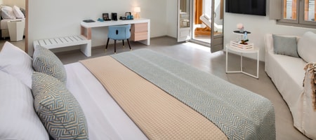 Deluxe Double Room with Terrace and Individual Pool